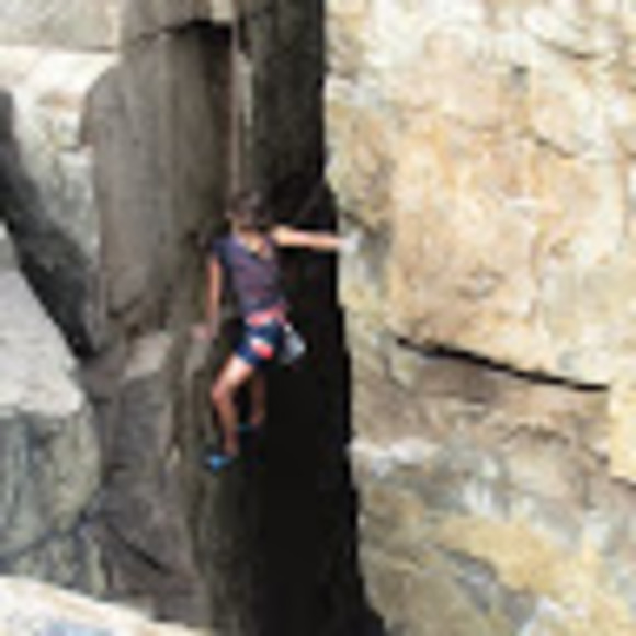 tuli_malarin